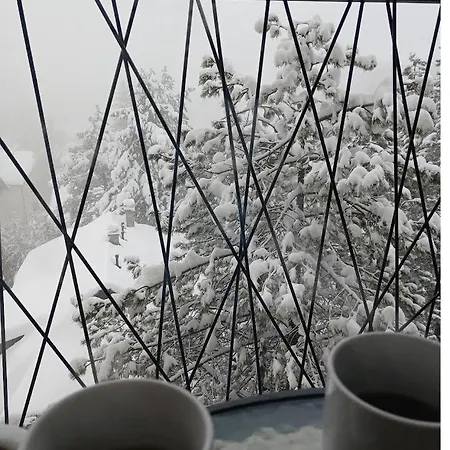 Todorovic 032 * زلاتيبور