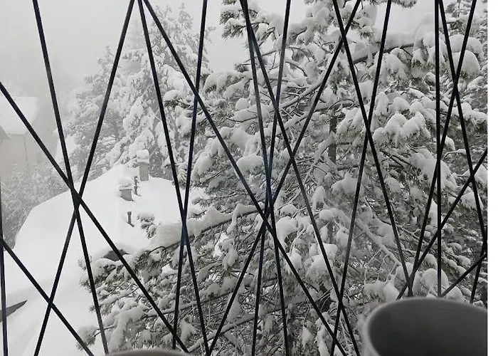 Todorovic 032 * Zlatibor